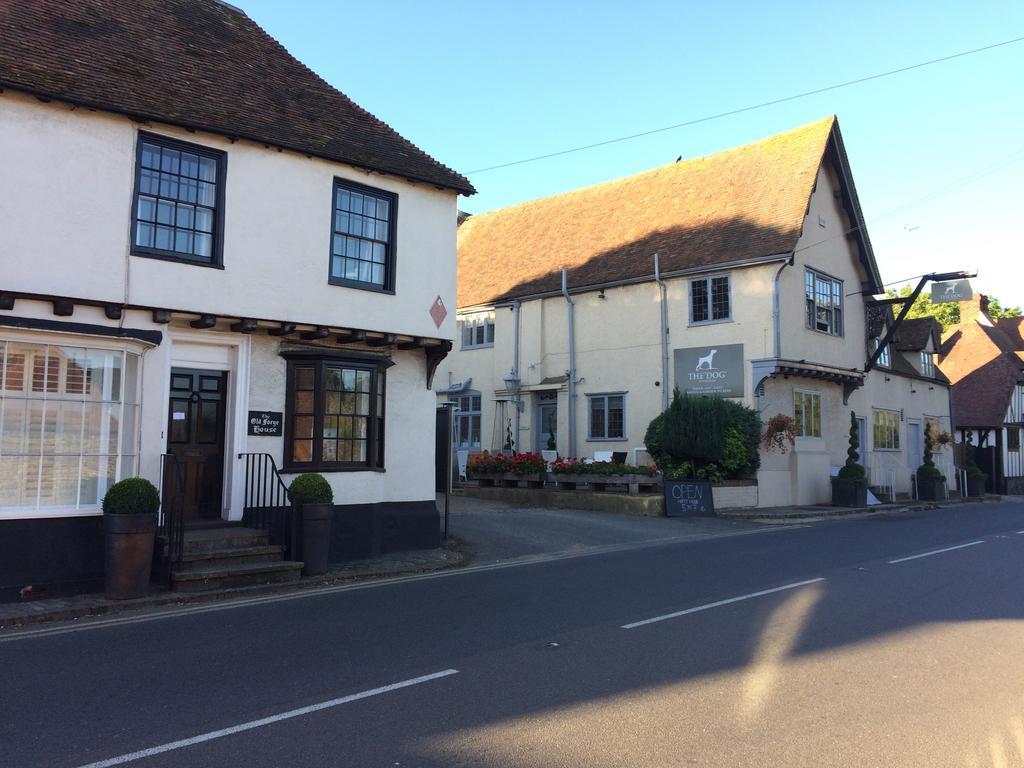 The Dog At Wingham Hotel Luaran gambar