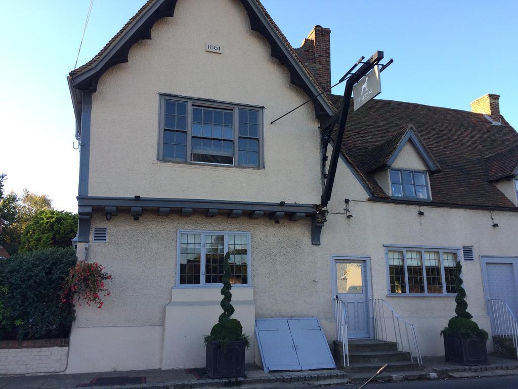 The Dog At Wingham Hotel Luaran gambar