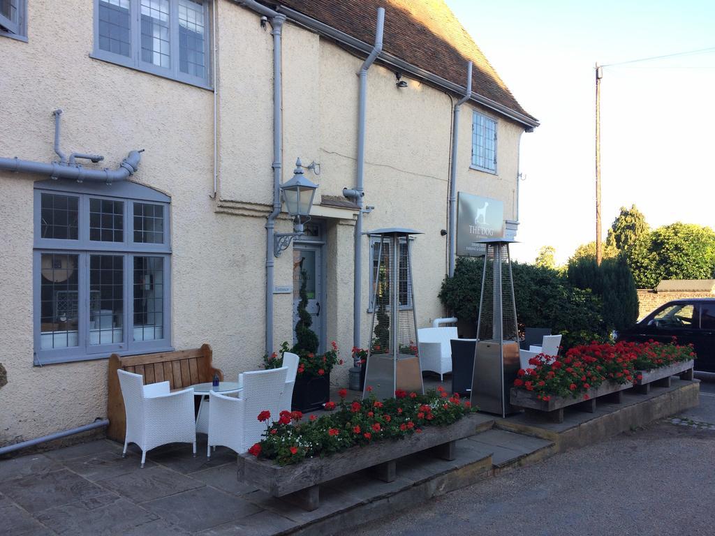 The Dog At Wingham Hotel Luaran gambar