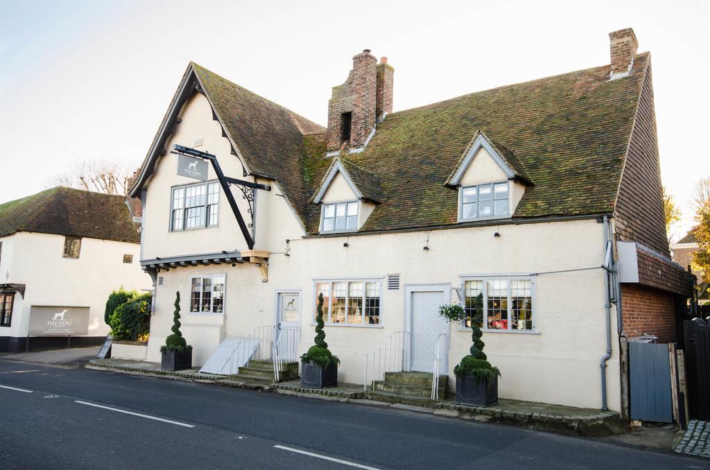 The Dog At Wingham Hotel Luaran gambar